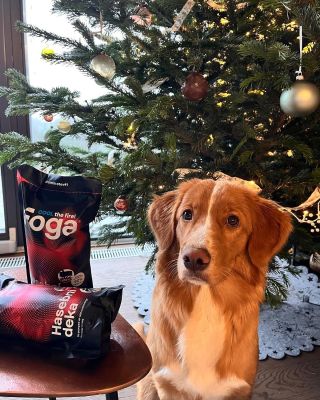 Vy a Foga, to je nejvíc 👏 Foga tě chrání a navíc jí to u tebe doma fakt sluší 😉 Díky všem, co jste nám poslali fotky, jak...